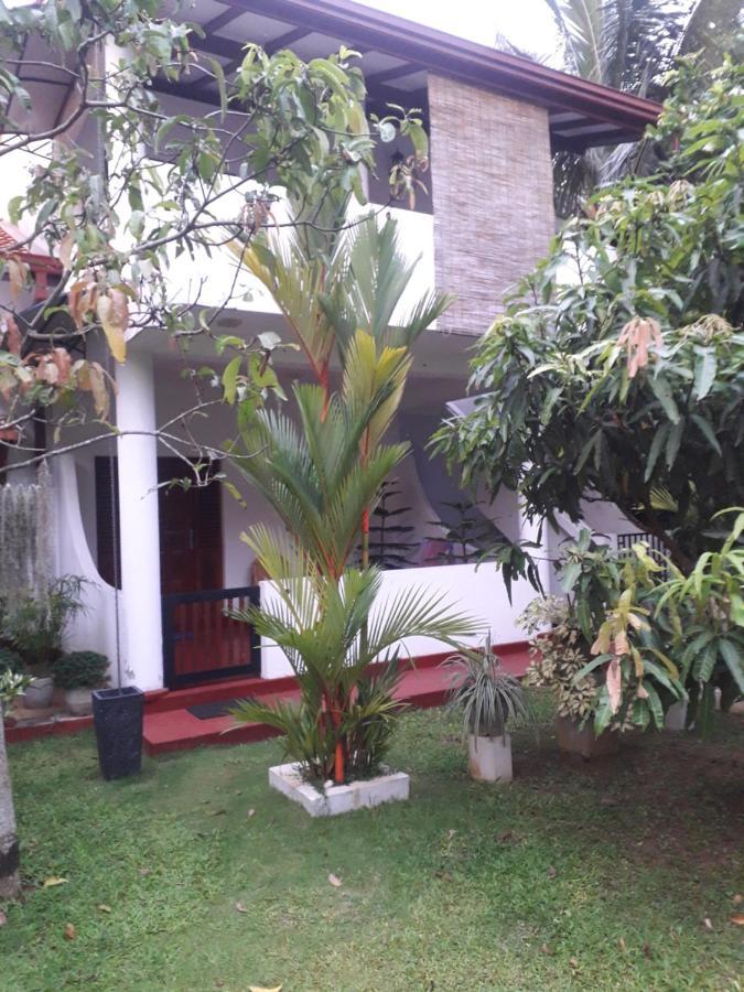 Villa 159 希克杜沃 外观 照片