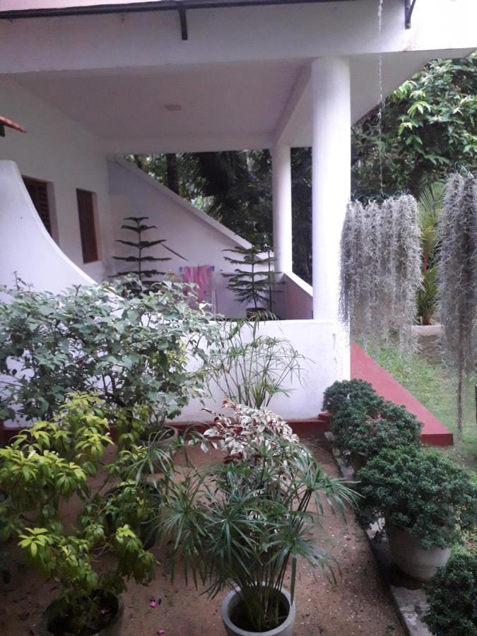 Villa 159 希克杜沃 外观 照片