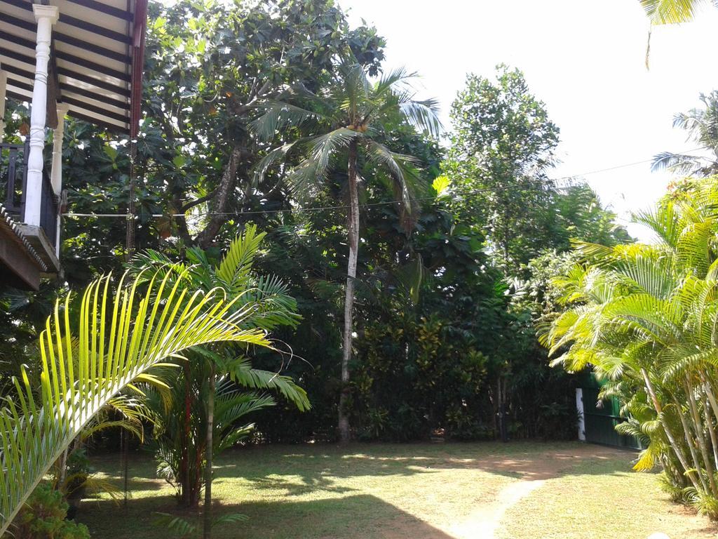 Villa 159 希克杜沃 外观 照片